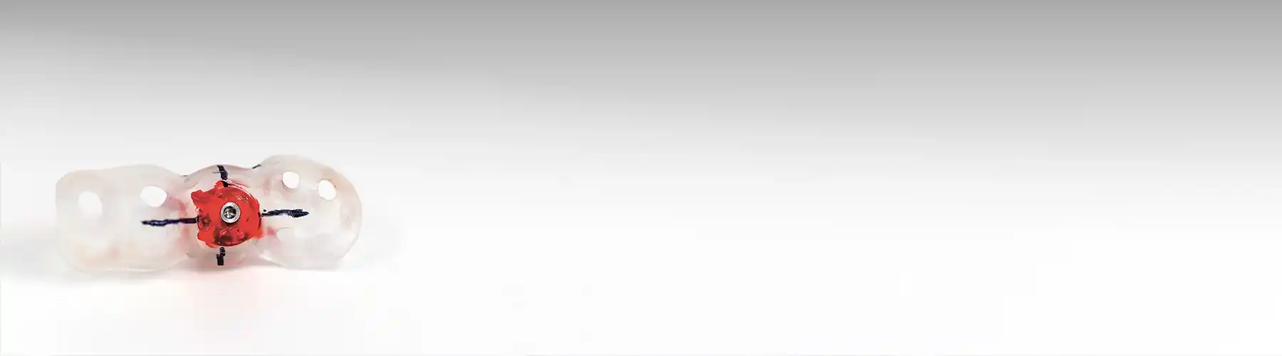 Implantologie Leistungen