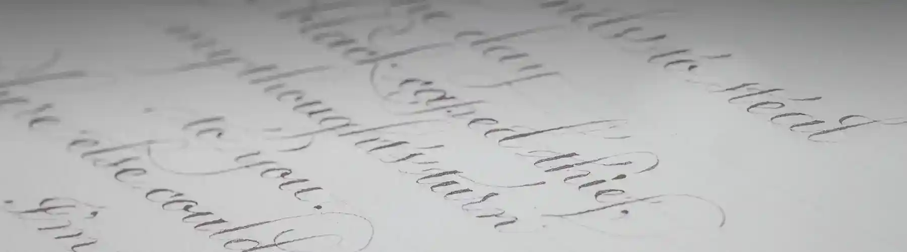 Verbände und Auszeichnungen